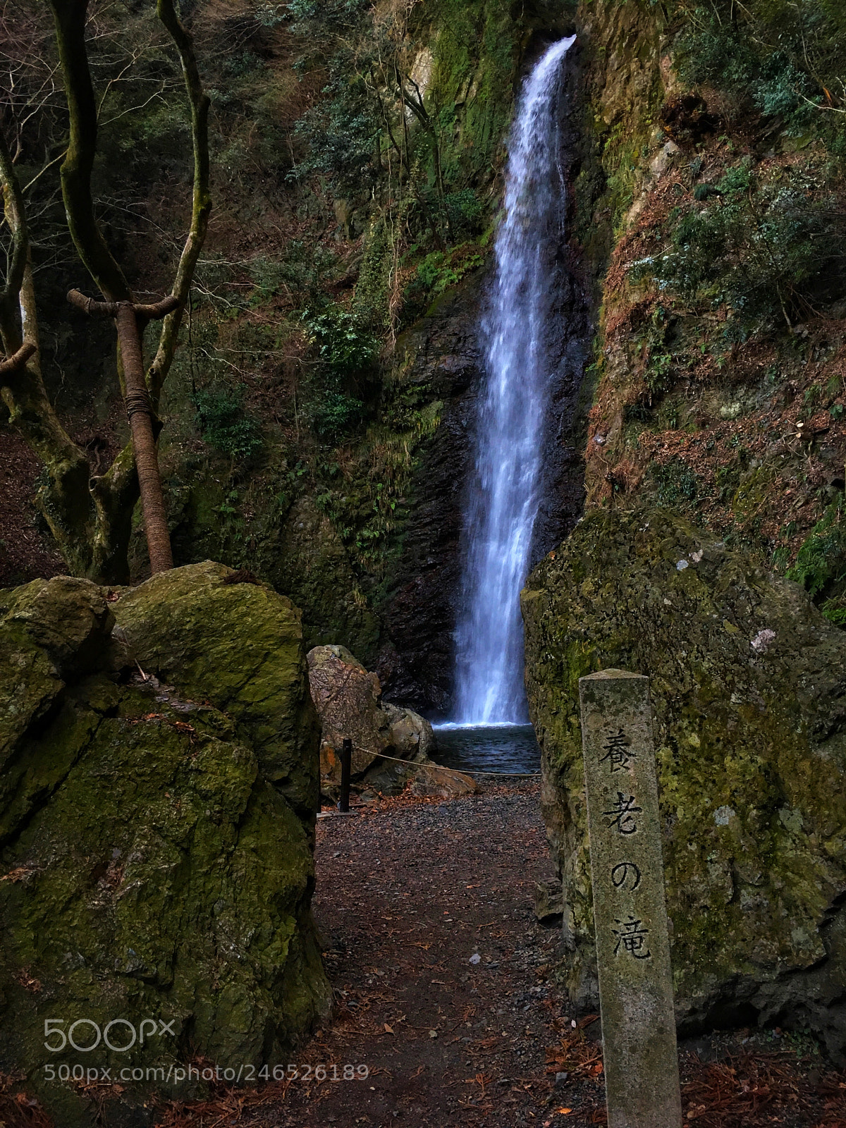 Apple iPhone 6s sample photo. Yoro-gun gifu, japan photography