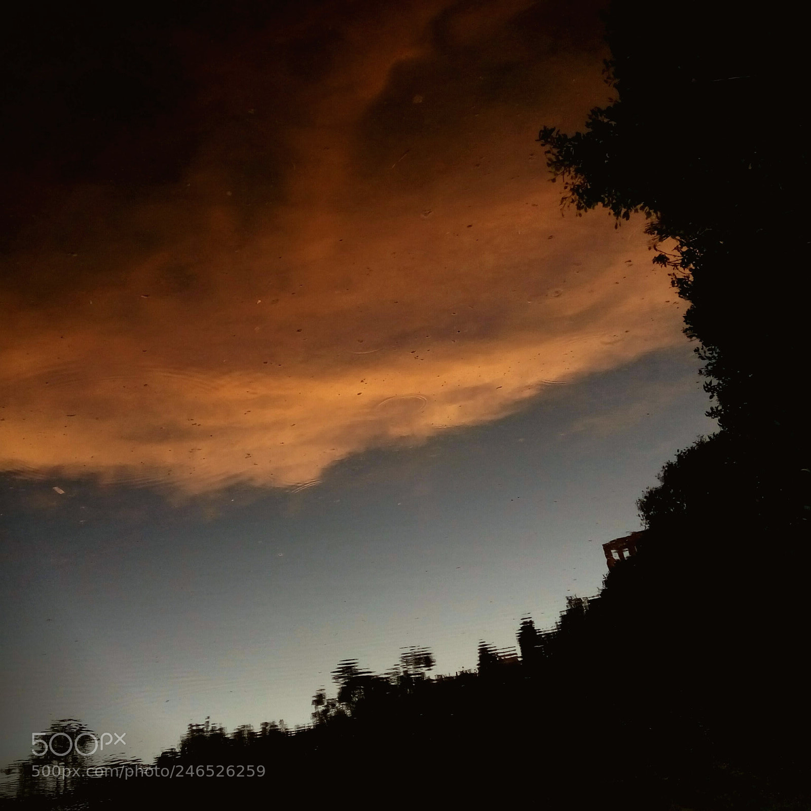 HTC D728X sample photo. Sunset on the pond photography
