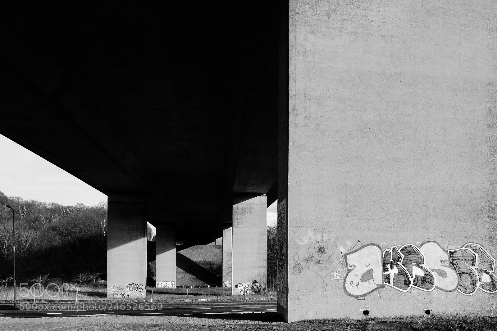 Nikon D7100 sample photo. The bridge 1 photography