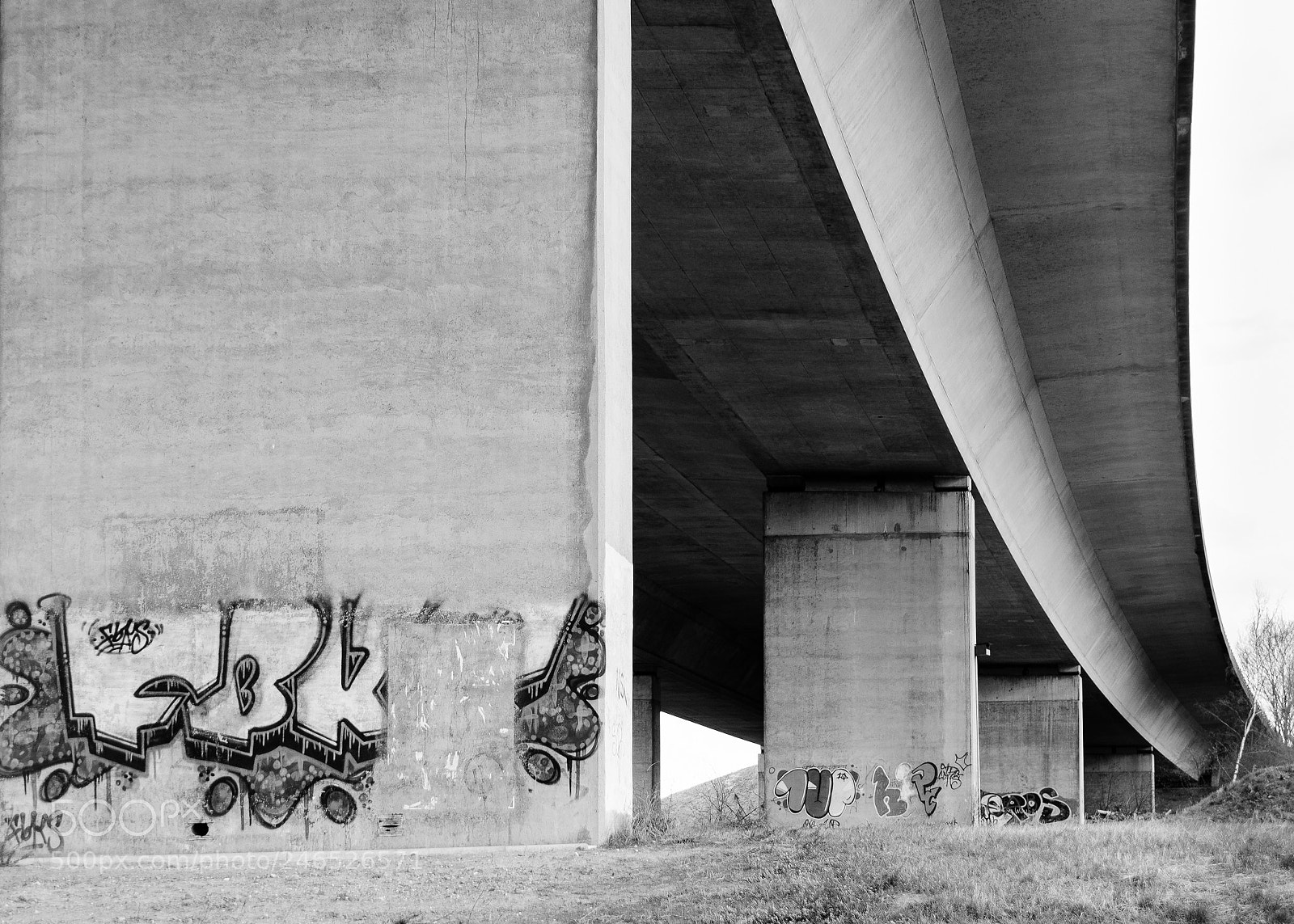 Nikon D7100 sample photo. The bridge 2 photography