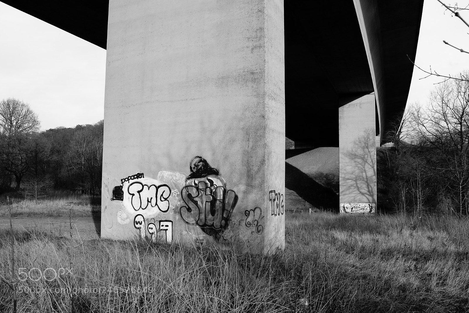 Nikon D7100 sample photo. The bridge 4 photography