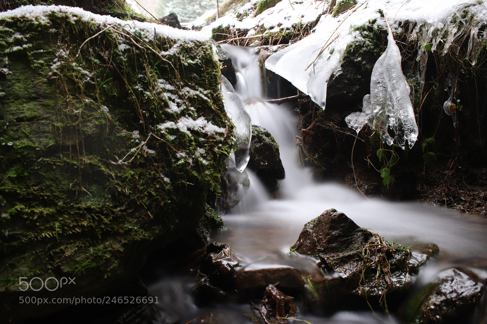 Canon EOS 77D (EOS 9000D / EOS 770D) sample photo. Untitled photography