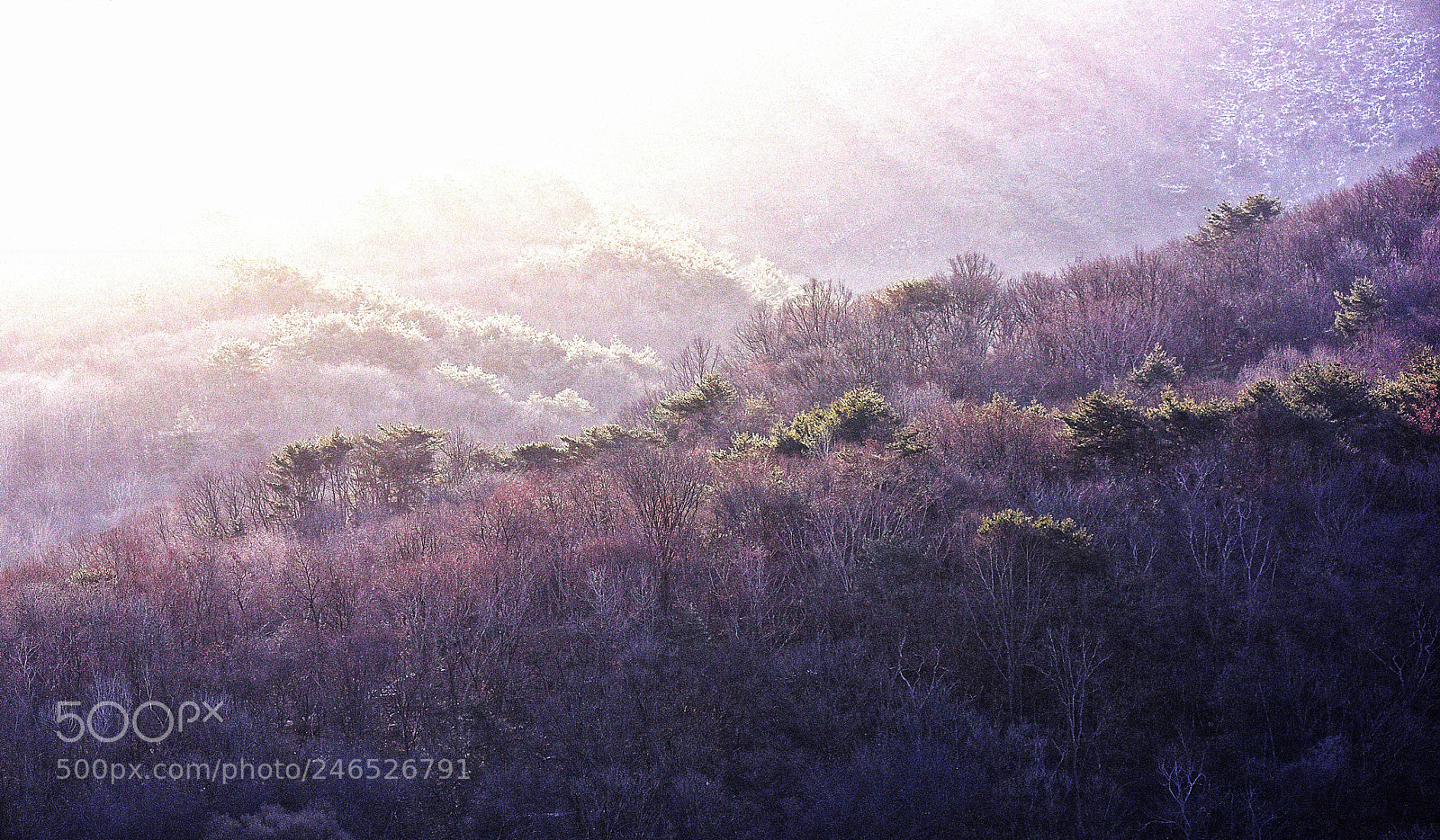 Nikon D810 sample photo. Untitled photography