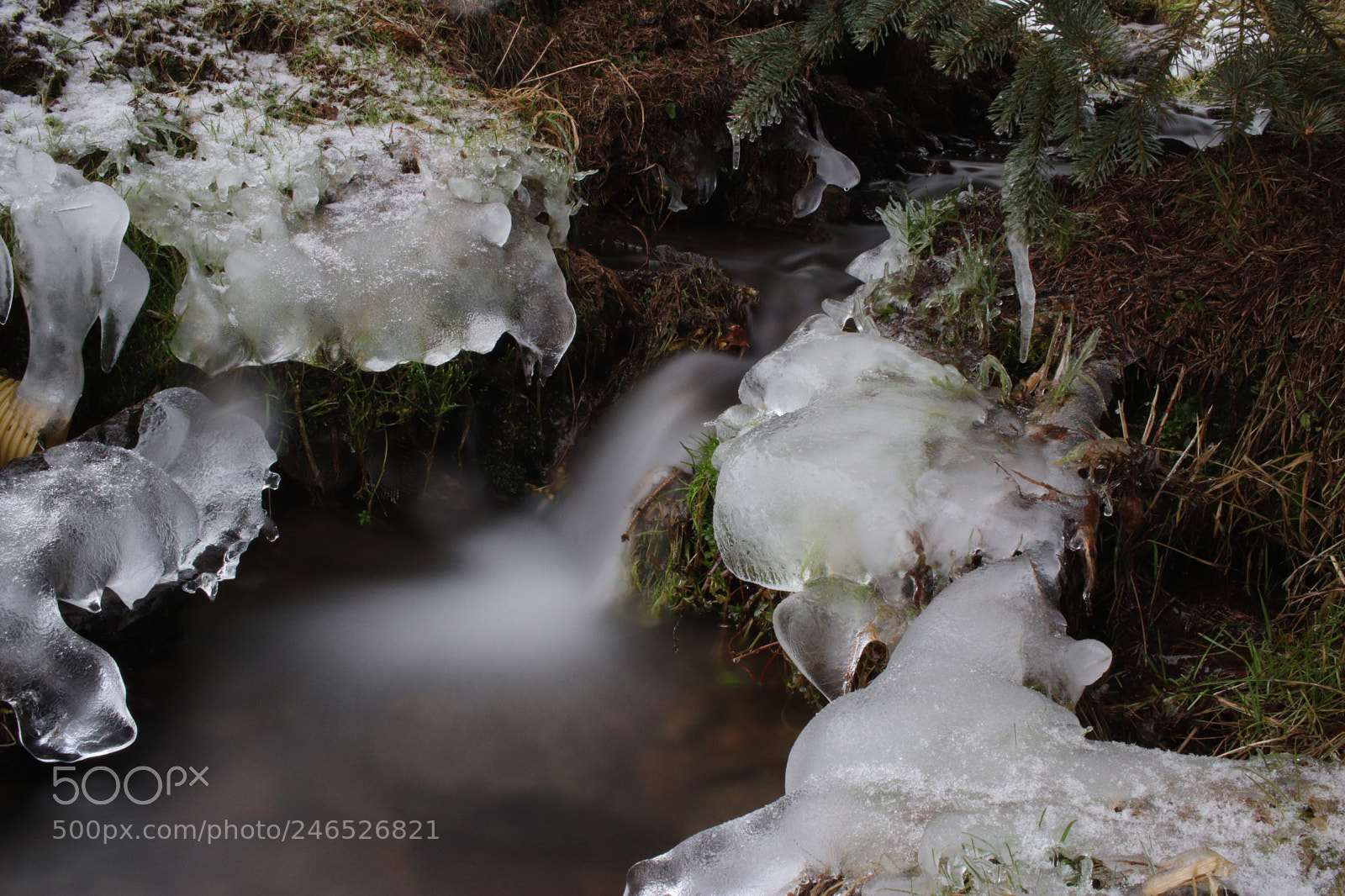 Canon EOS 77D (EOS 9000D / EOS 770D) sample photo. Untitled photography