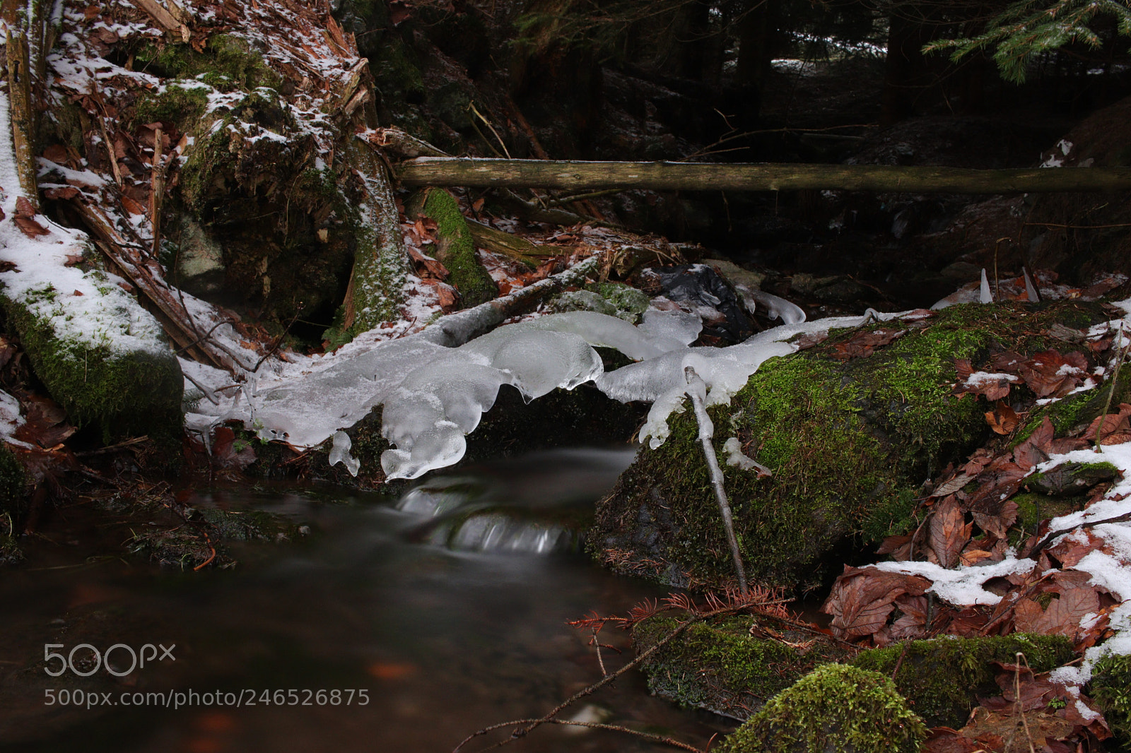 Canon EOS 77D (EOS 9000D / EOS 770D) sample photo. Untitled photography