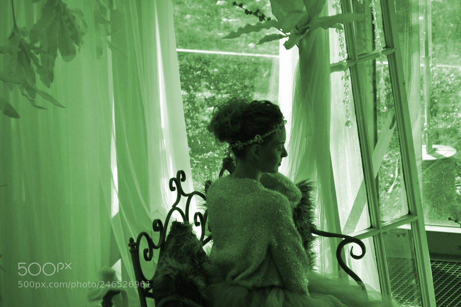 Nikon D7200 sample photo. Green photography