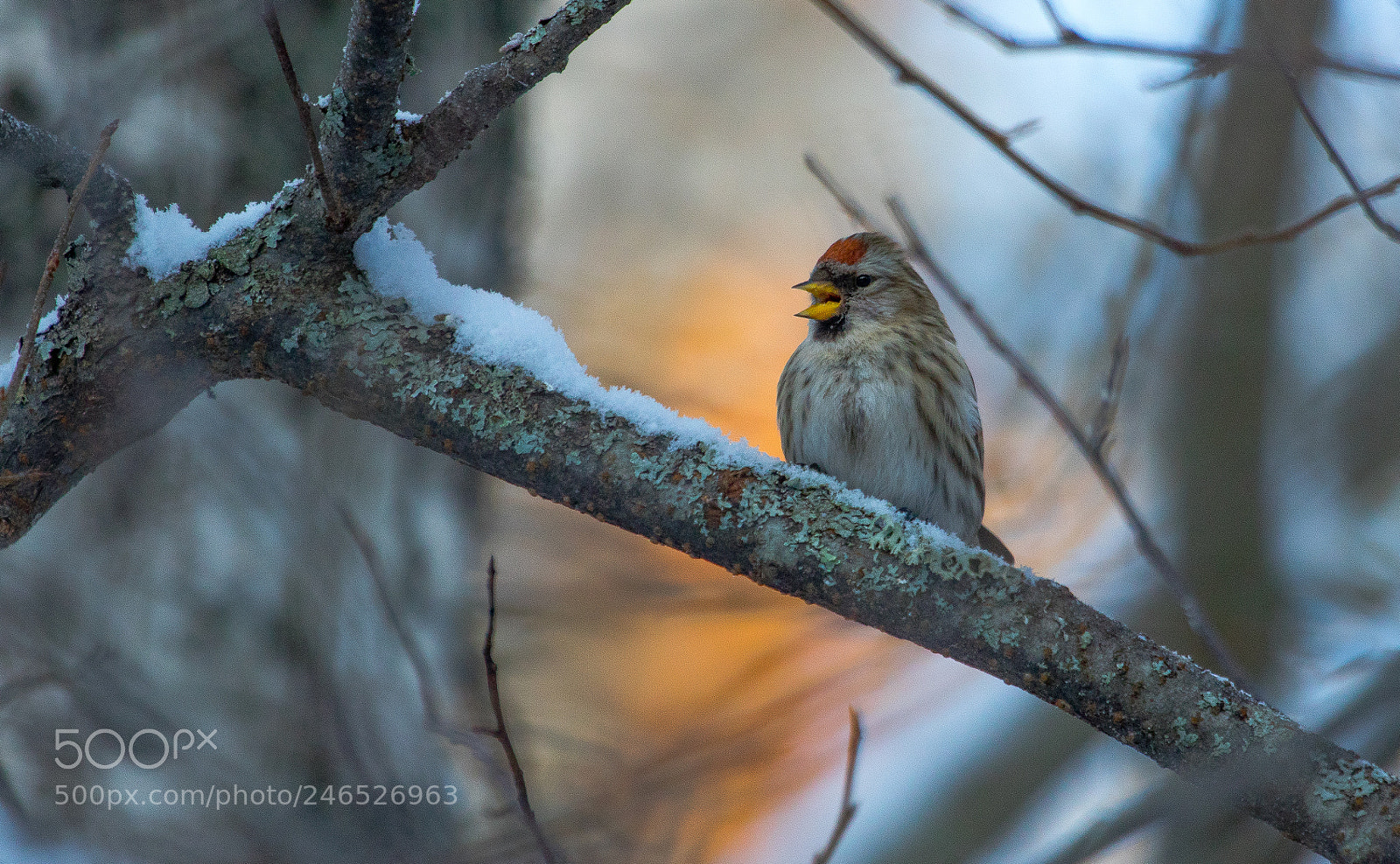 Canon EOS 7D Mark II sample photo. Aj6a5783-3.jpg photography