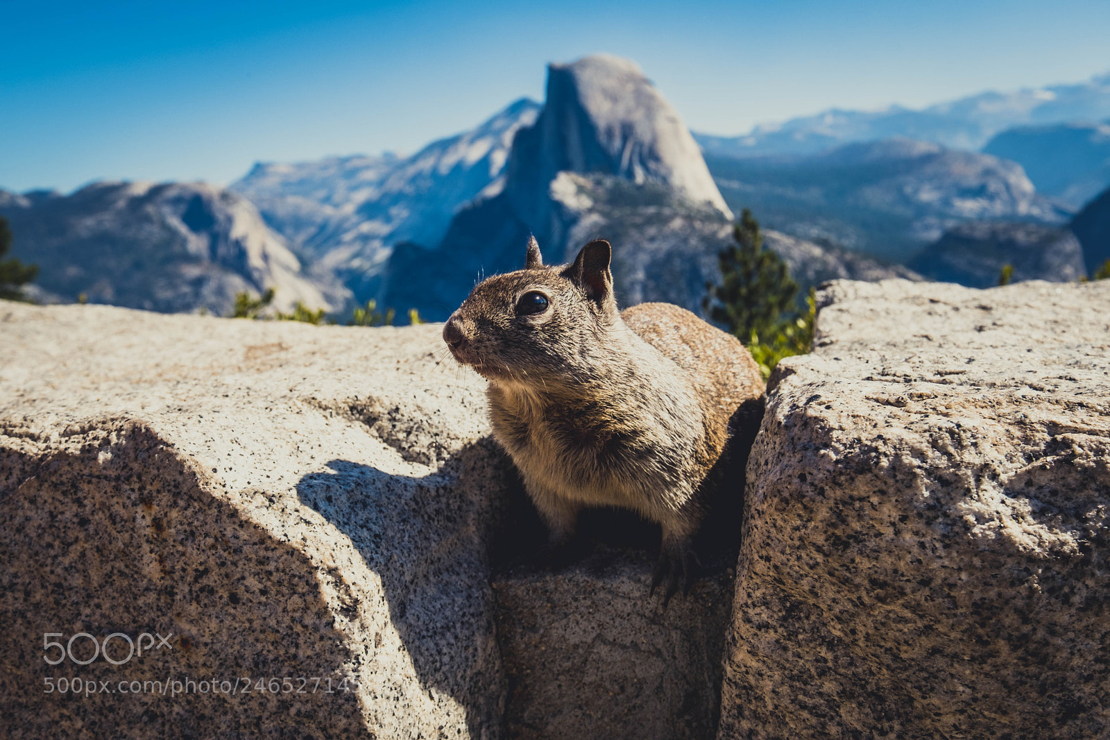 Fujifilm X-T2 sample photo. Nubsie at glacier point photography