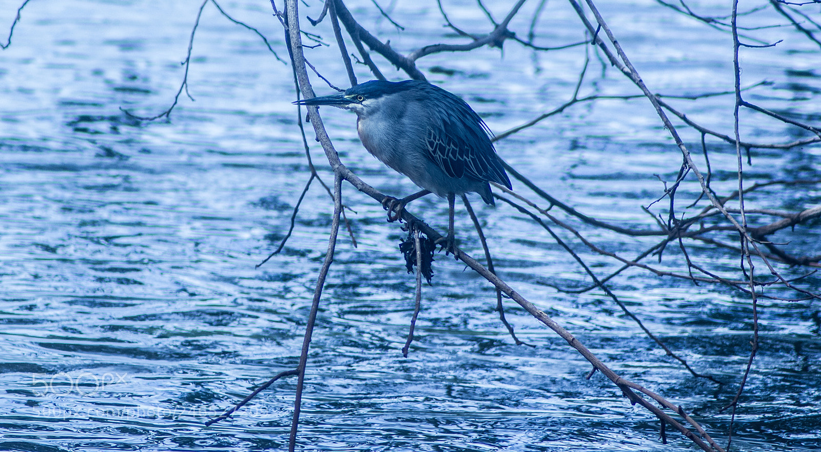 Canon EOS 550D (EOS Rebel T2i / EOS Kiss X4) sample photo. Blue lake photography