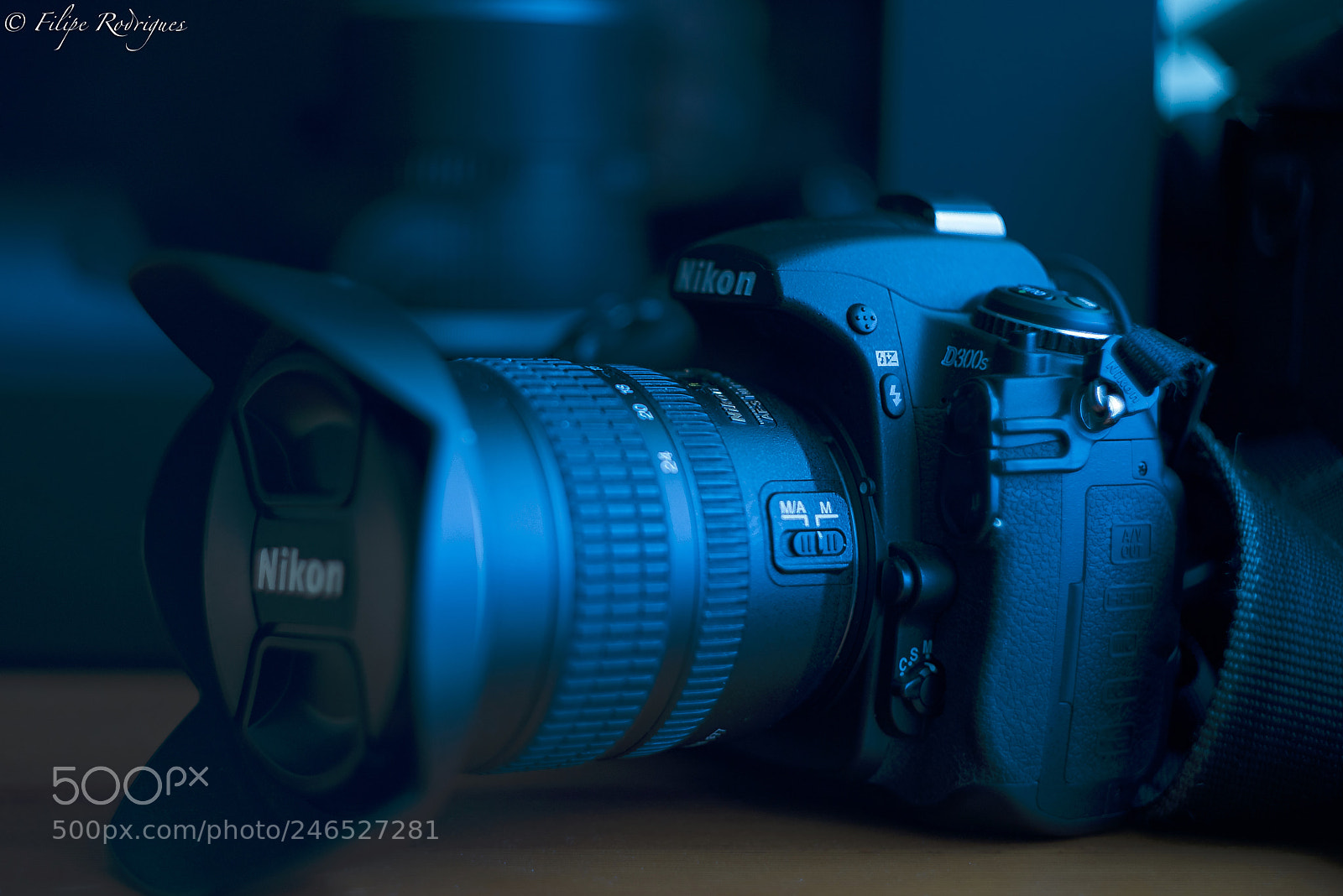 Nikon D800E sample photo. Good friends photography