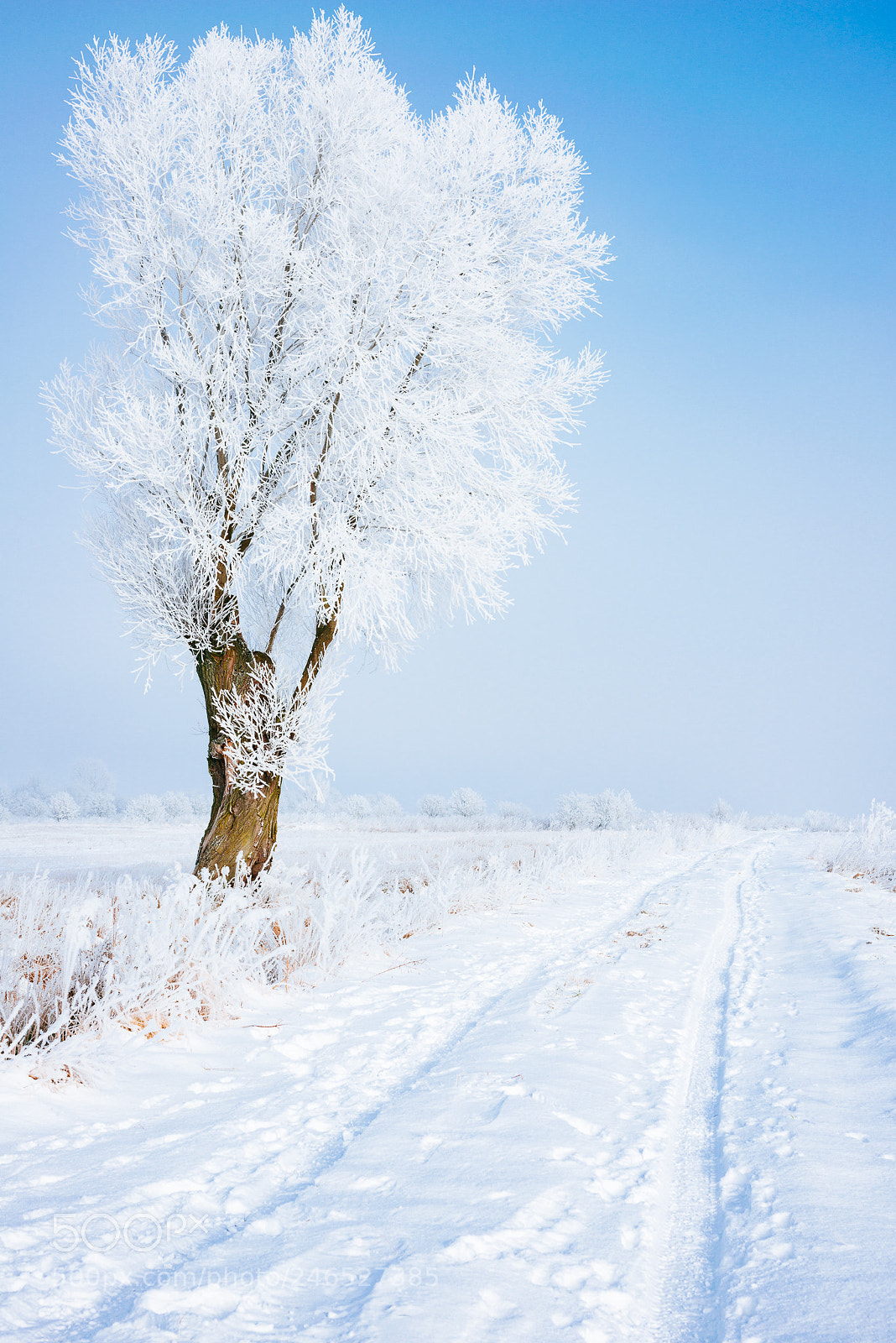 Nikon D800 sample photo. Roszkowo photography