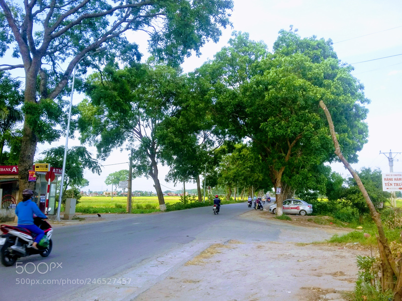 Samsung Galaxy Grand Prime sample photo. Street.jpg photography