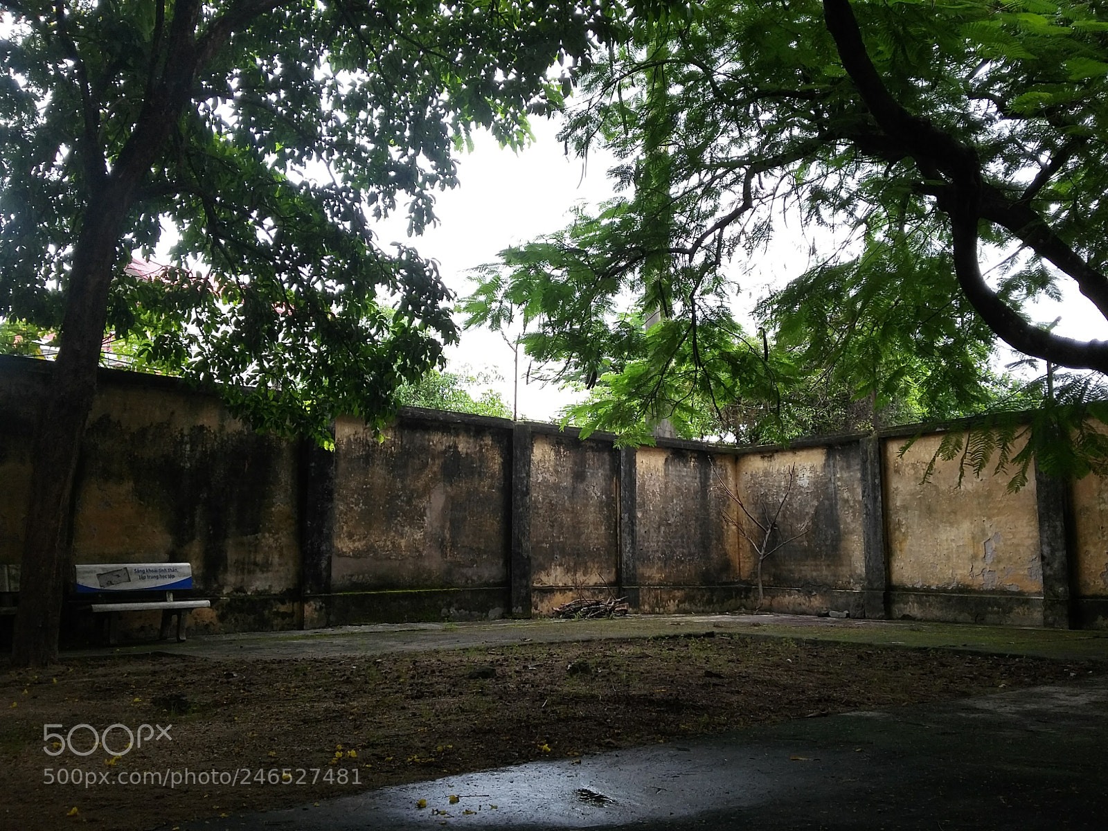Samsung Galaxy Grand Prime sample photo. Vannoihighschool.jpg photography
