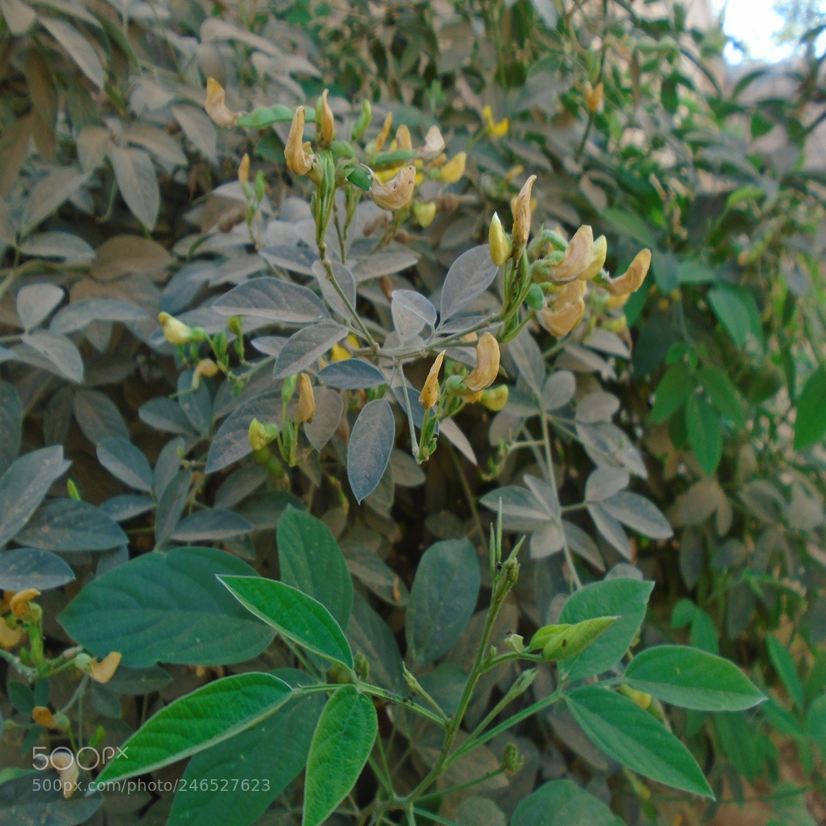 Sony Cyber-shot DSC-W800 sample photo. 500.jpg photography