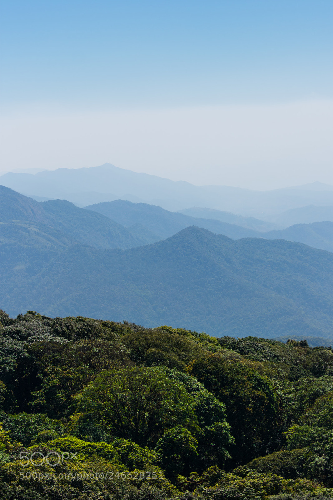 Nikon D3400 sample photo. View from above photography