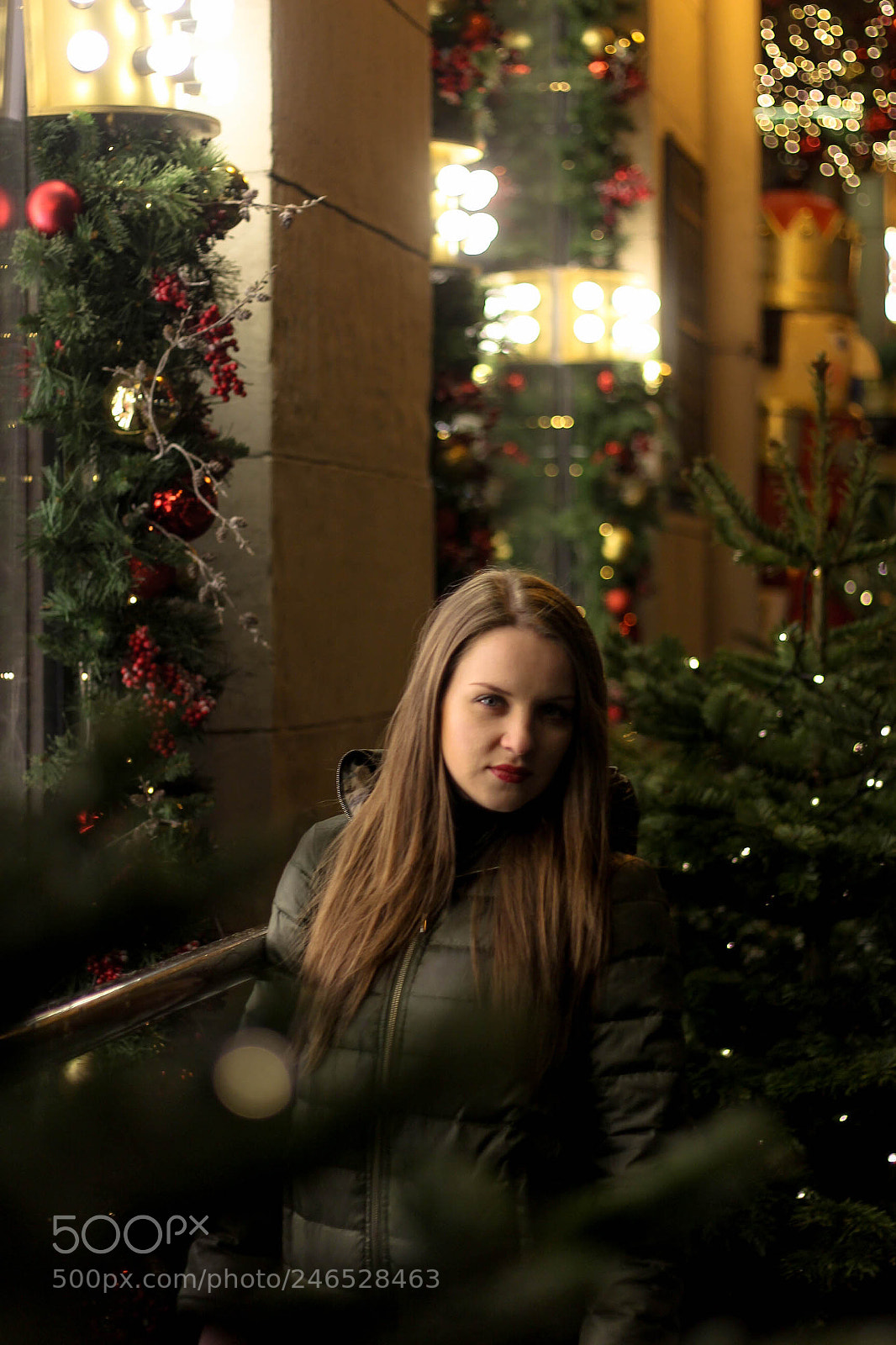 Canon EOS 650D (EOS Rebel T4i / EOS Kiss X6i) sample photo. New year photography