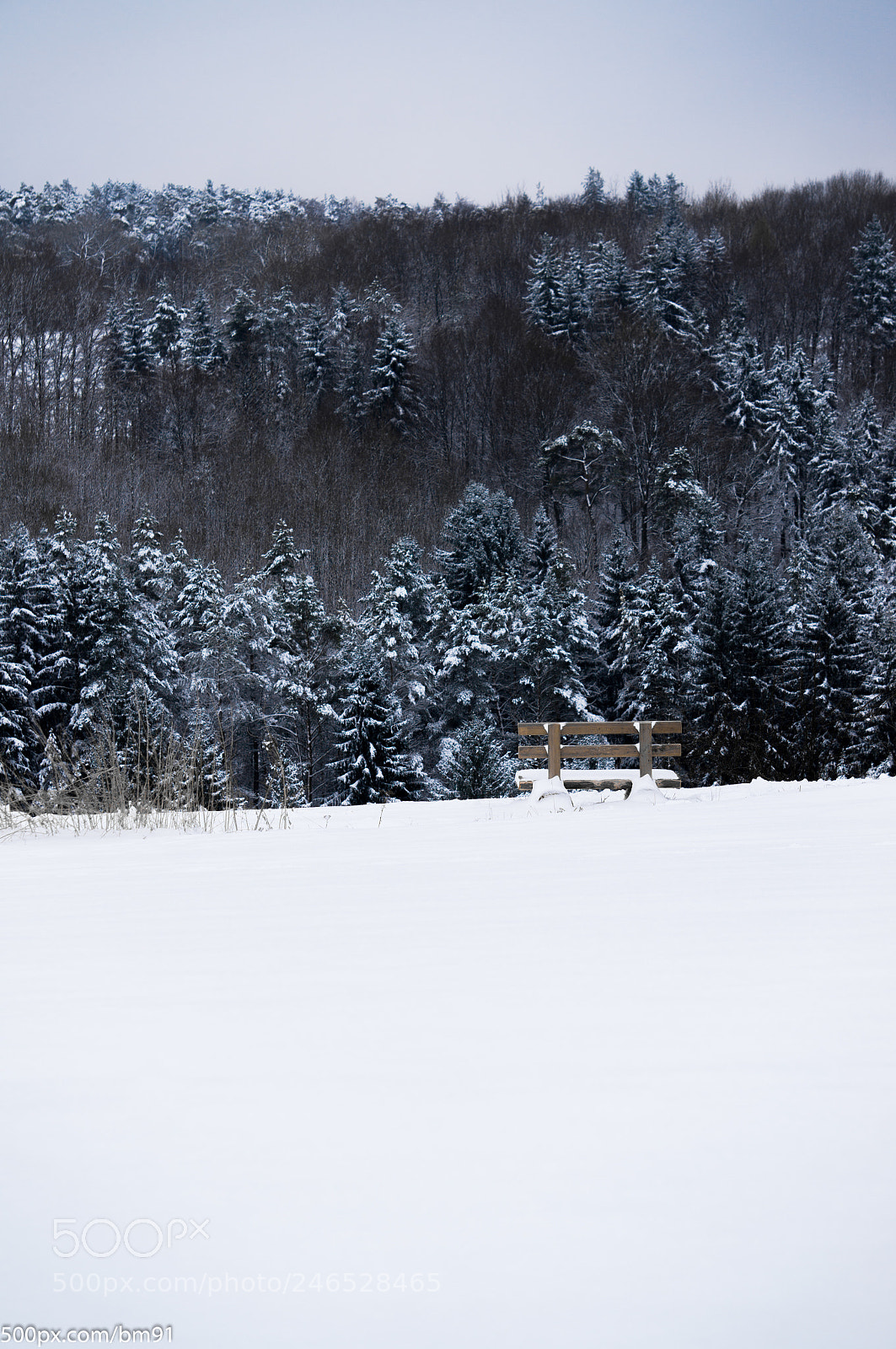 Sony Alpha NEX-5R sample photo. Bench photography