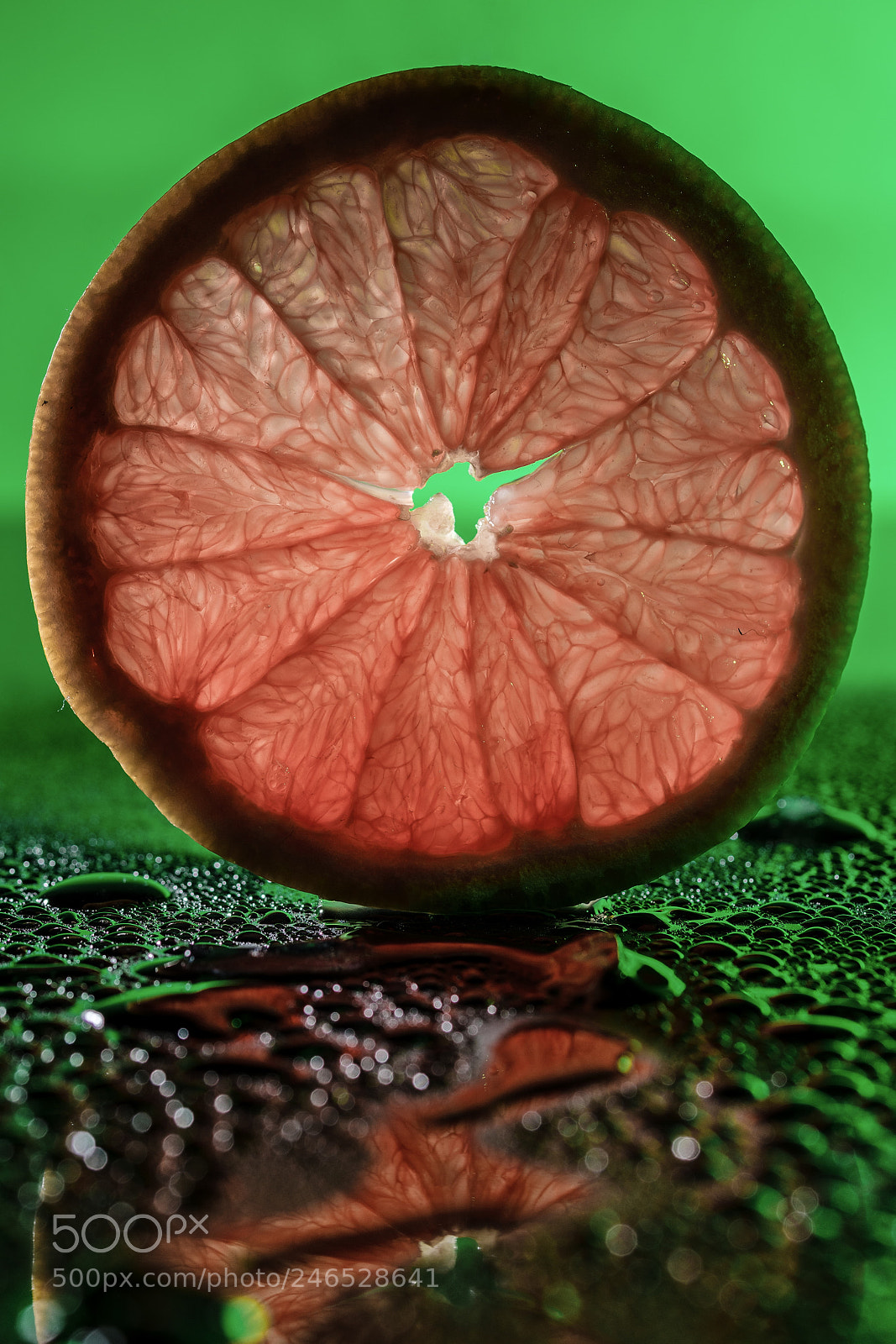 Nikon D7200 sample photo. A slice of grapefruit photography