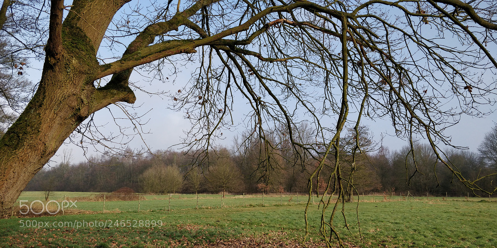 OnePlus 5T sample photo. Bij de mangelbeek. photography