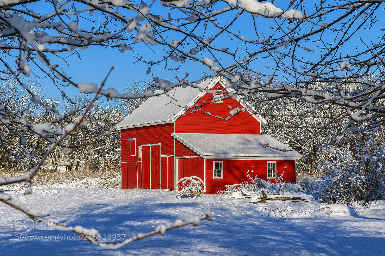Canon EOS 7D Mark II sample photo. Winter scene photography