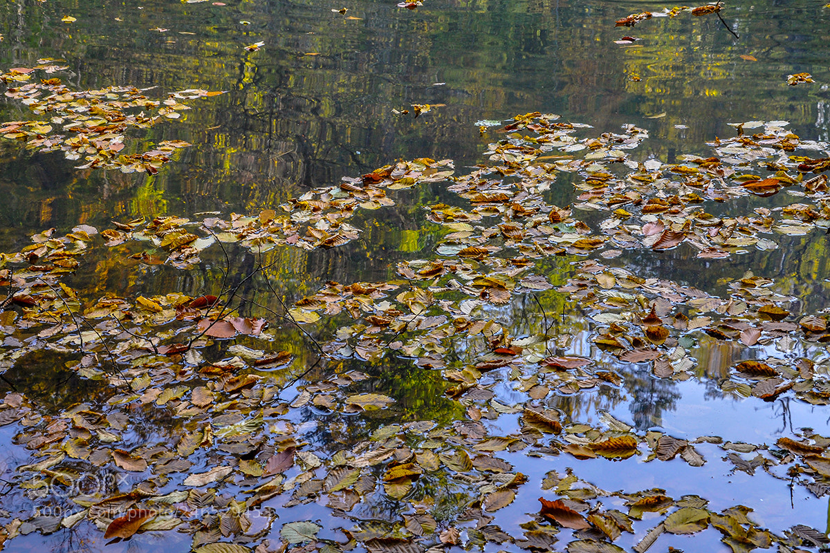 Nikon D90 sample photo. Lake photography