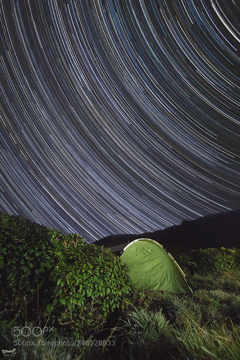 Canon EOS 700D (EOS Rebel T5i / EOS Kiss X7i) sample photo. Star trail chariot path photography