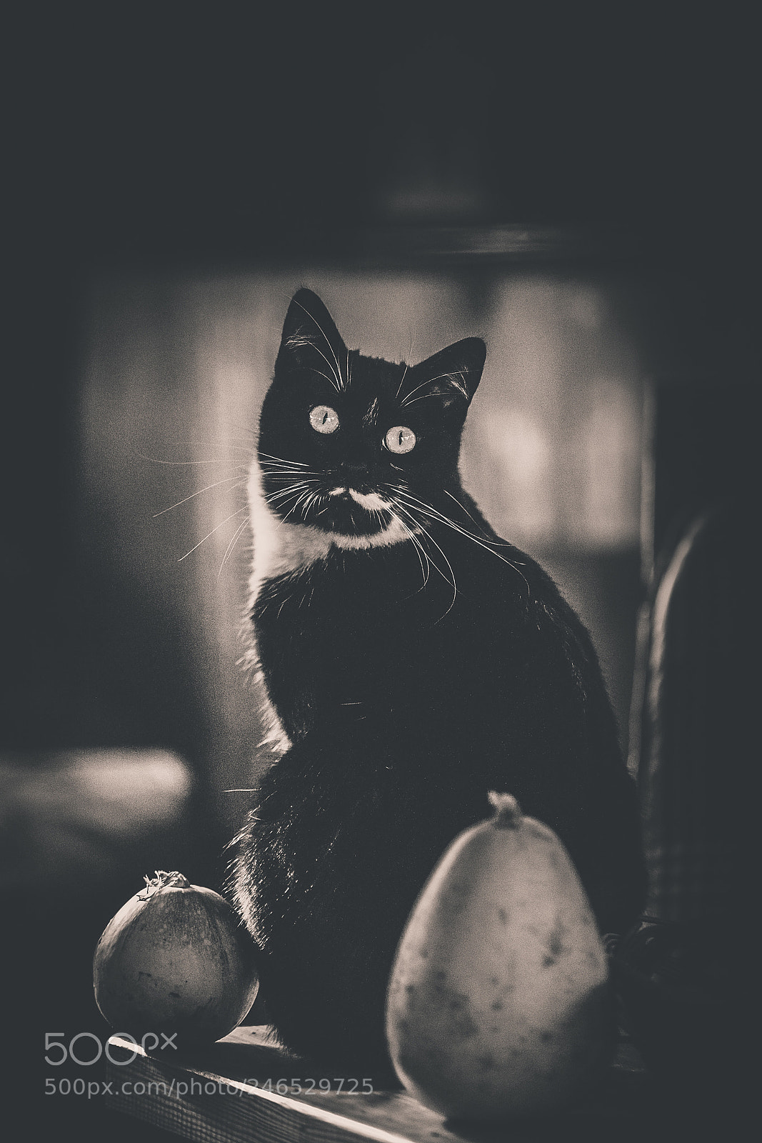 Canon EOS 5D sample photo. White mustache photography