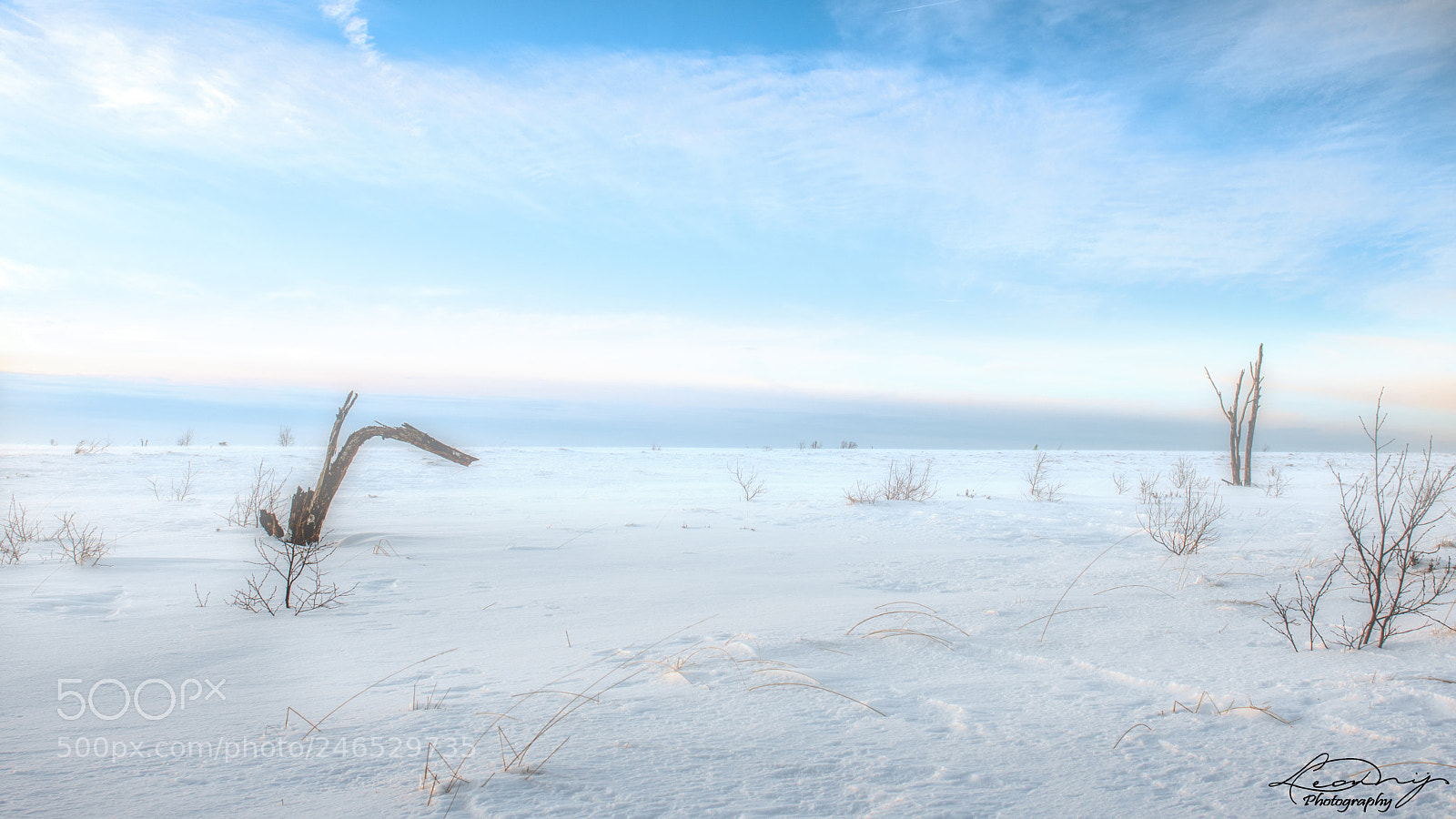 Nikon D500 sample photo. Cold & misty photography