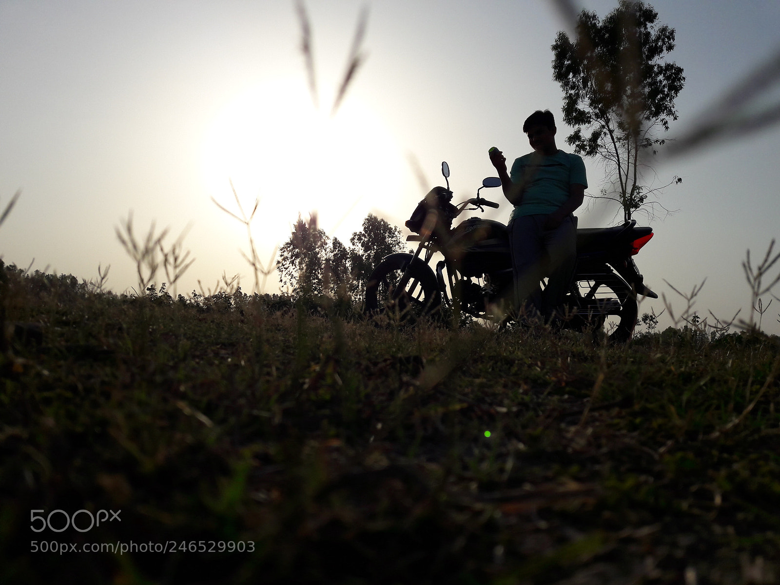 Samsung Galaxy A5(2016) sample photo. 20170409_171951.jpg photography