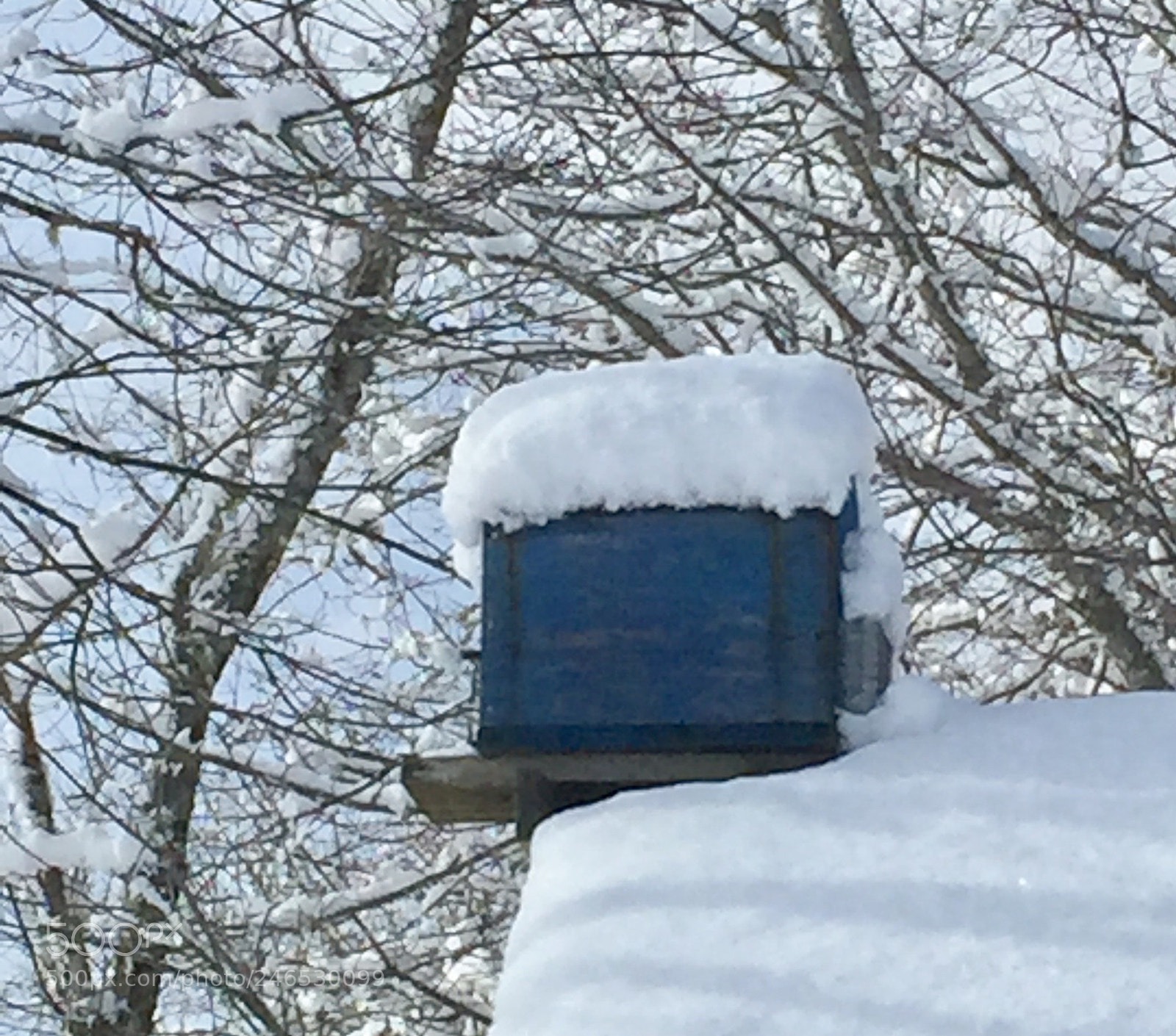 Apple iPhone 6 sample photo. Snow covered birdhouse photography