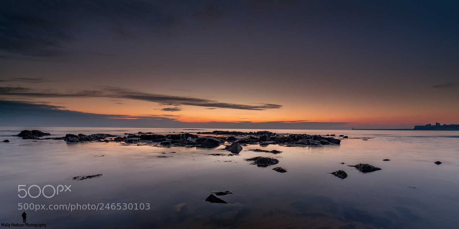 Nikon D850 sample photo. Tynemouth beach uk photography