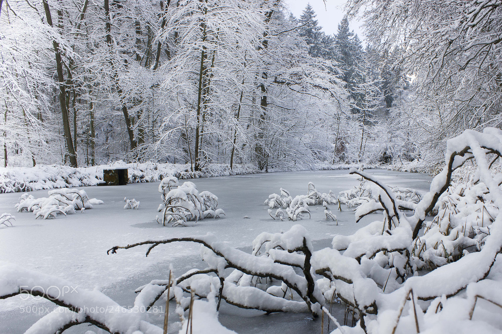 Canon EOS 550D (EOS Rebel T2i / EOS Kiss X4) sample photo. Frozen lake photography