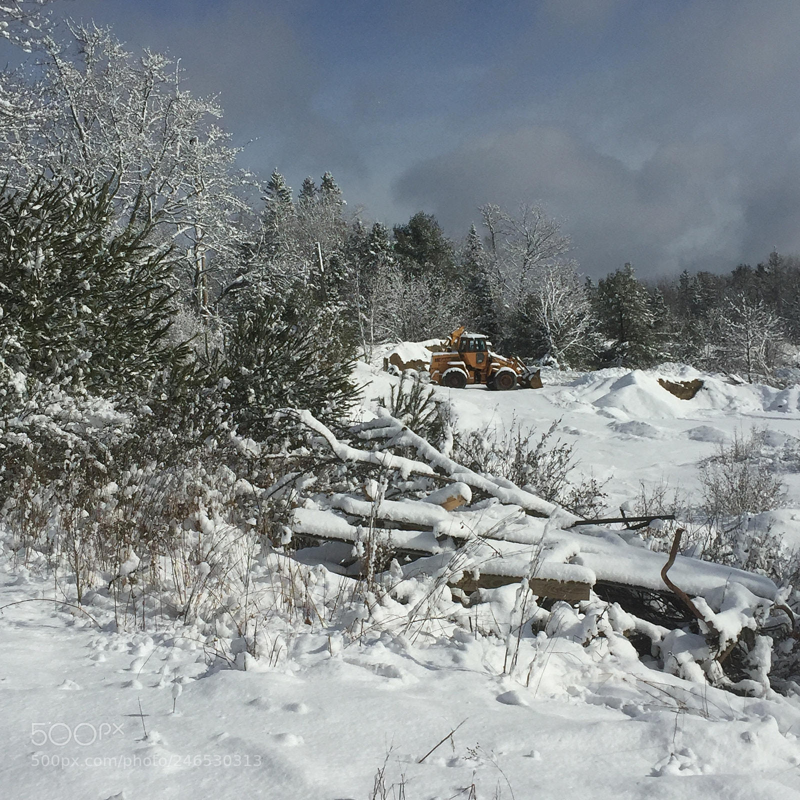 Apple iPhone 6 sample photo. Snowed day photography