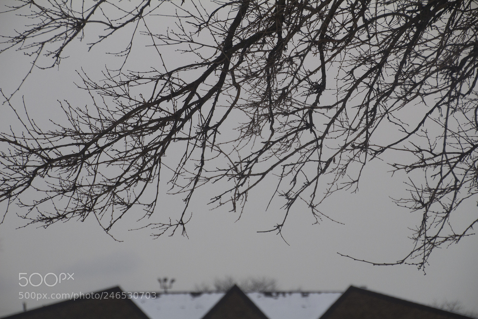 Canon EOS 1200D (EOS Rebel T5 / EOS Kiss X70 / EOS Hi) sample photo. Blurry pointy building and photography
