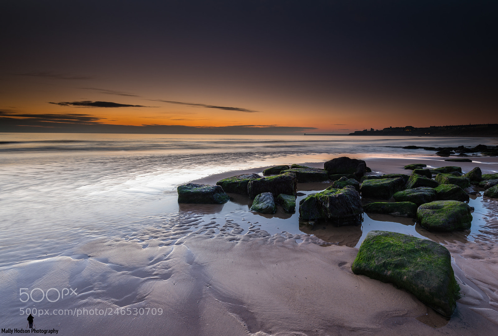 Nikon D850 sample photo. Tynemouth beach uk photography