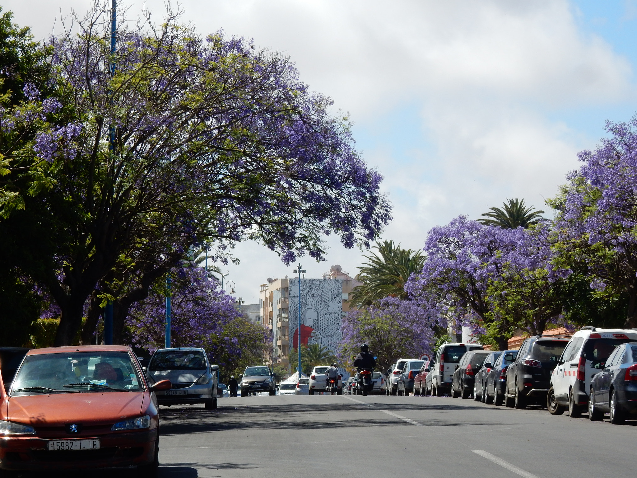 Nikon Coolpix S9700 sample photo. Purple trees... blue sky photography