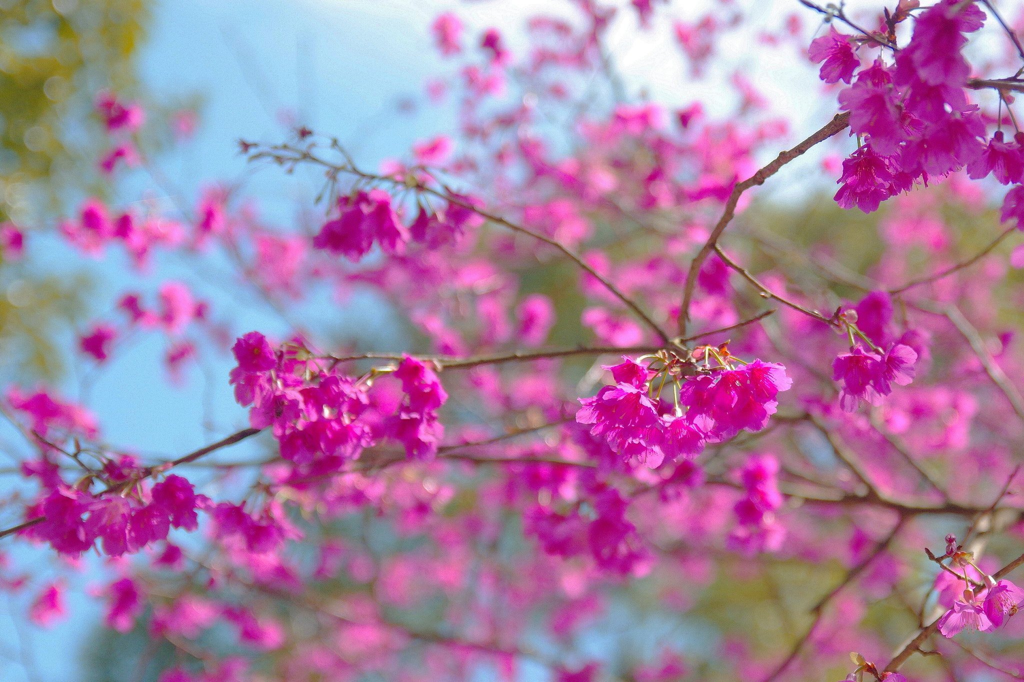 Sigma 17-50mm F2.8 EX DC OS HSM sample photo