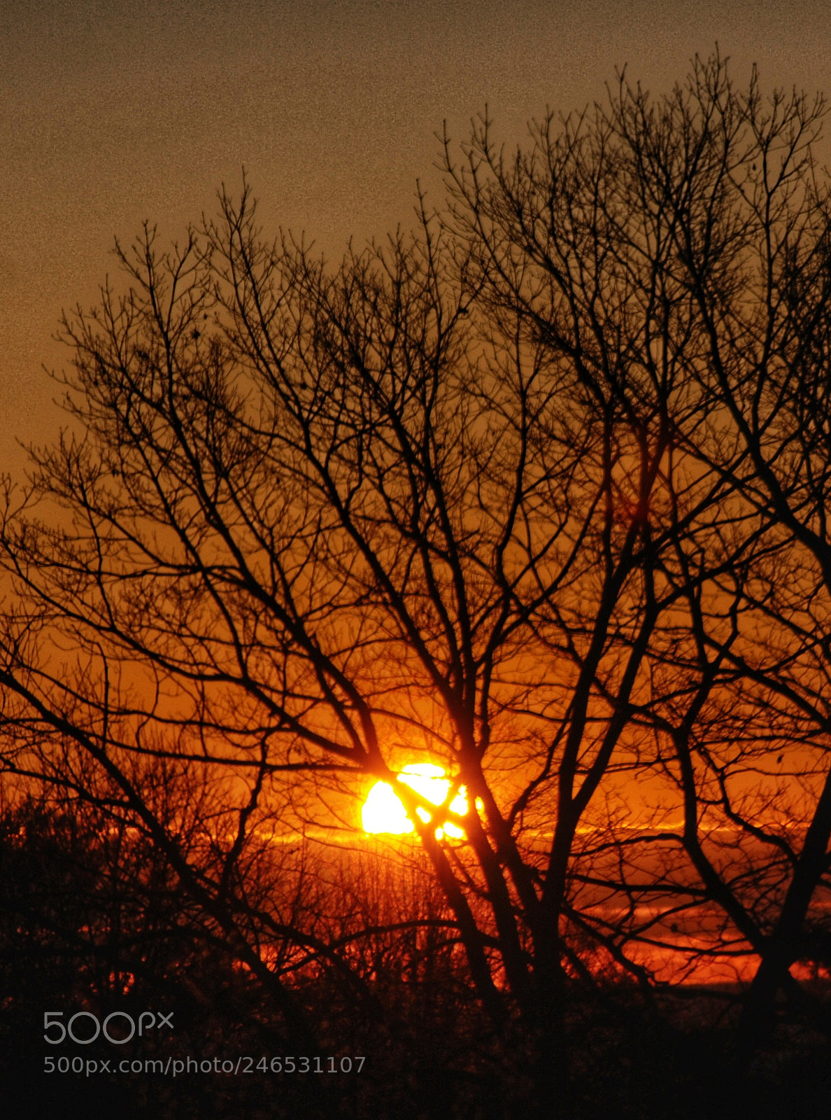 Nikon D80 sample photo. Winter sunrise at the photography