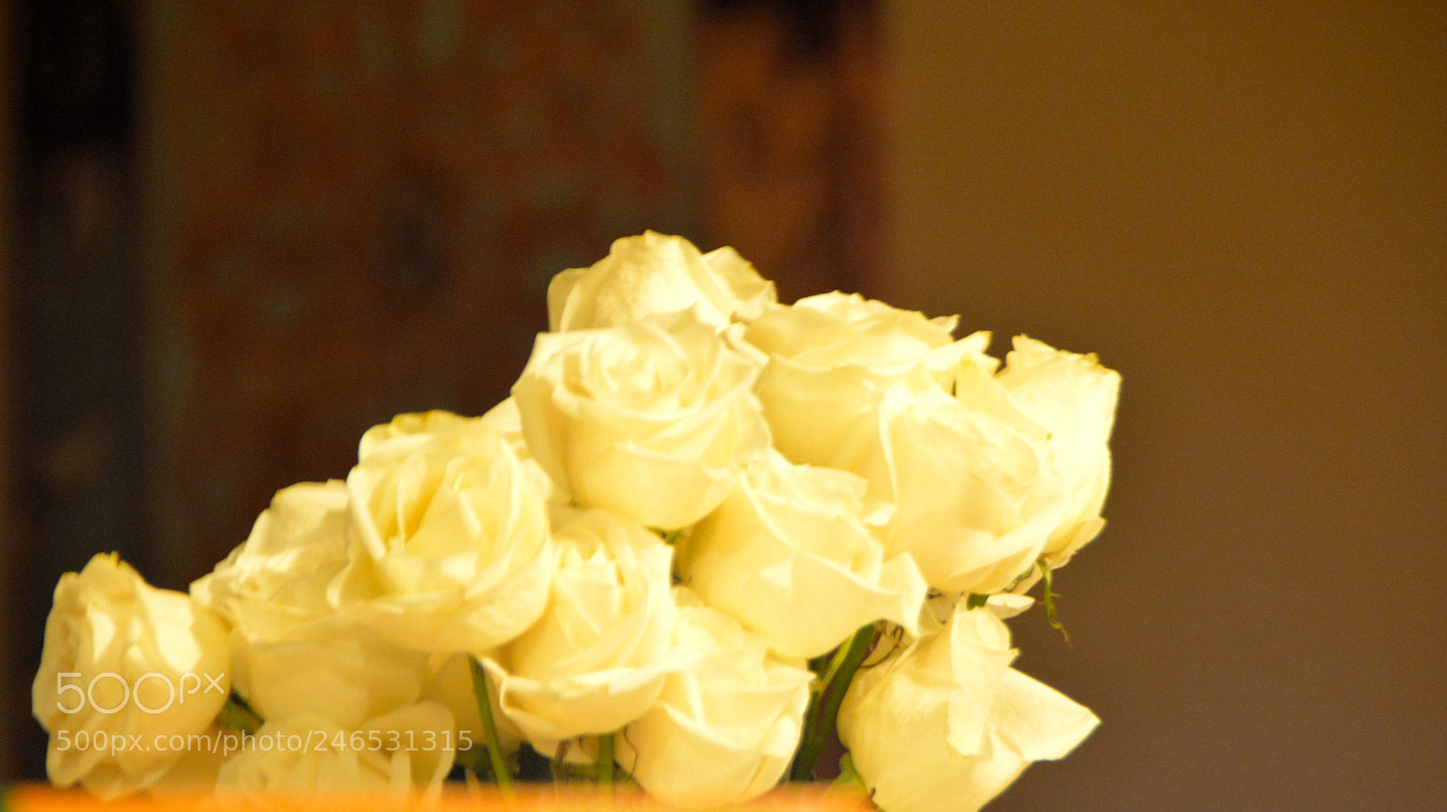 Nikon D7100 sample photo. Untitled photography