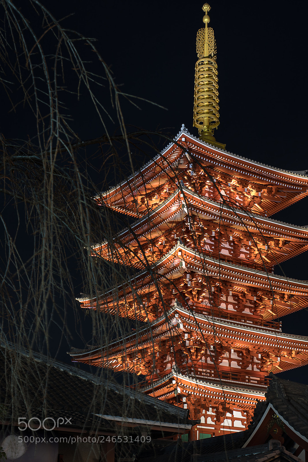 Canon EOS 5D Mark IV sample photo. Five-storied pagoda photography