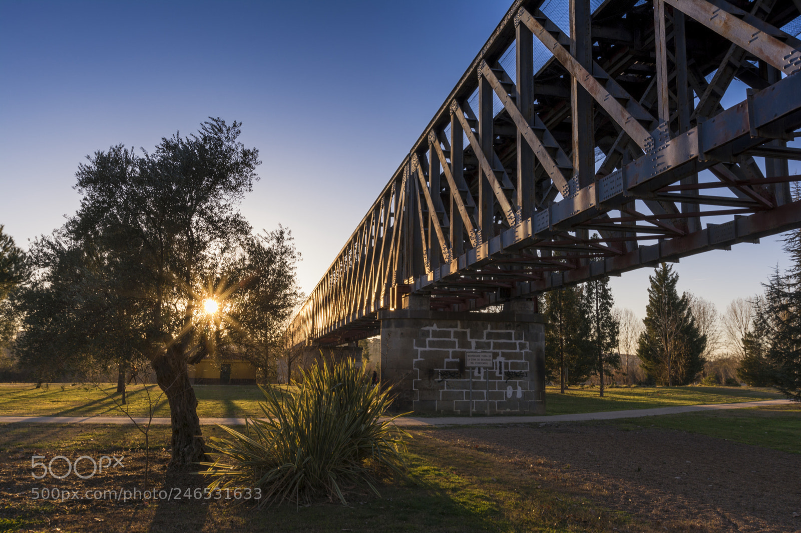 Nikon D5200 sample photo. Sunset train bridge photography