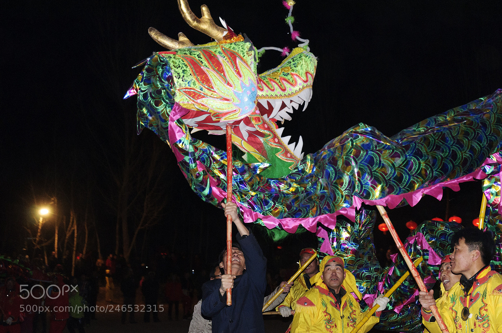 Nikon D90 sample photo. The performance of dragon photography
