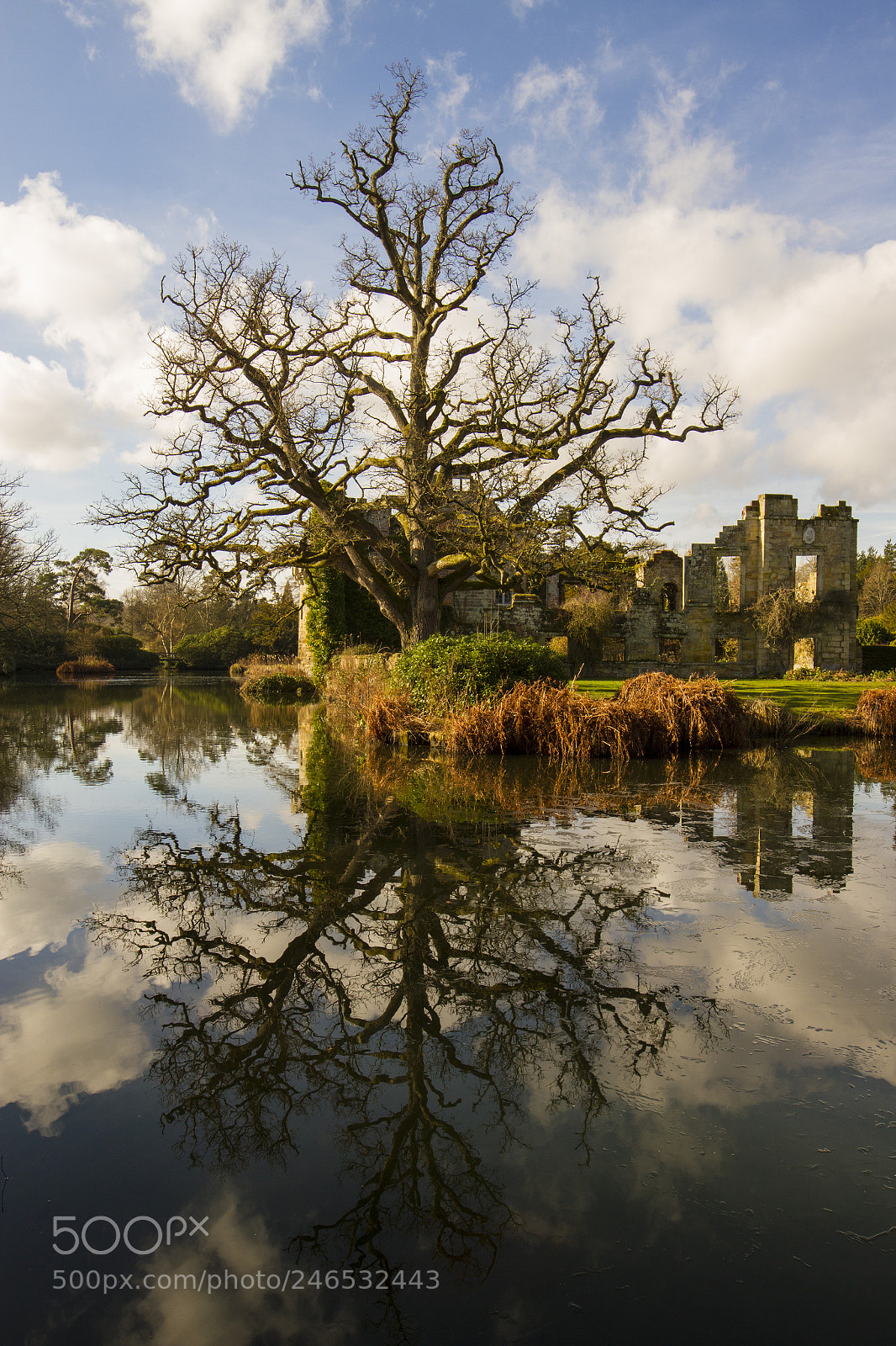 Canon EOS 7D sample photo. Scotney castle from moat photography