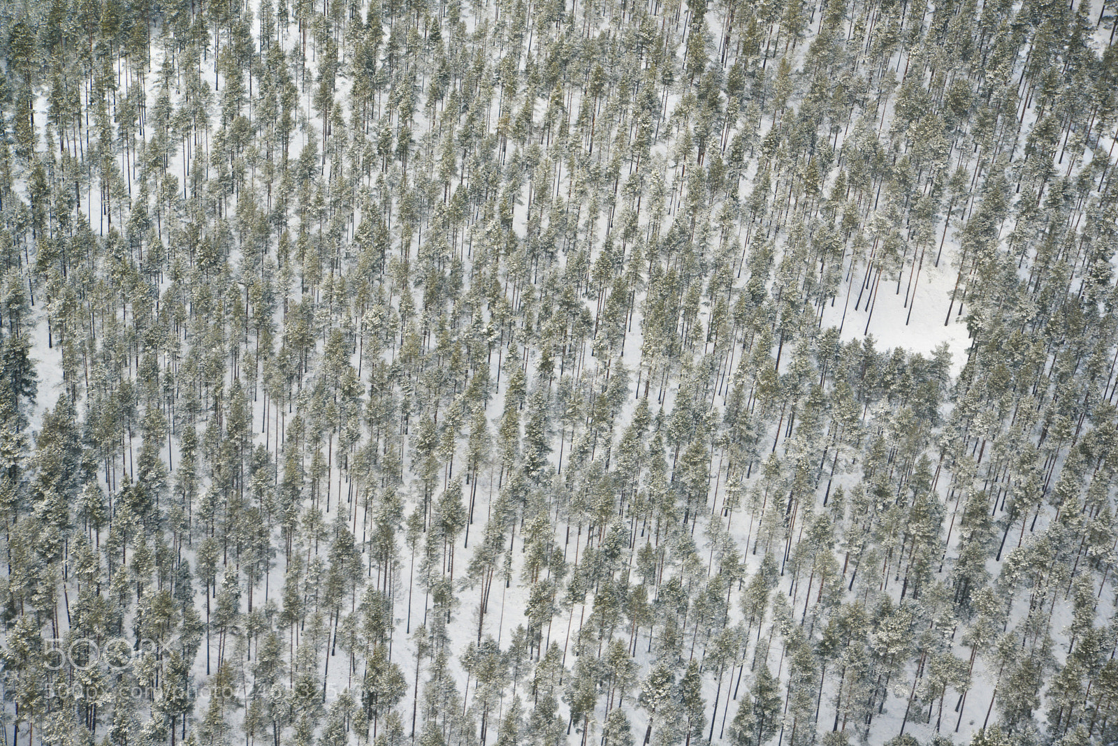 Nikon D600 sample photo. Untitled photography