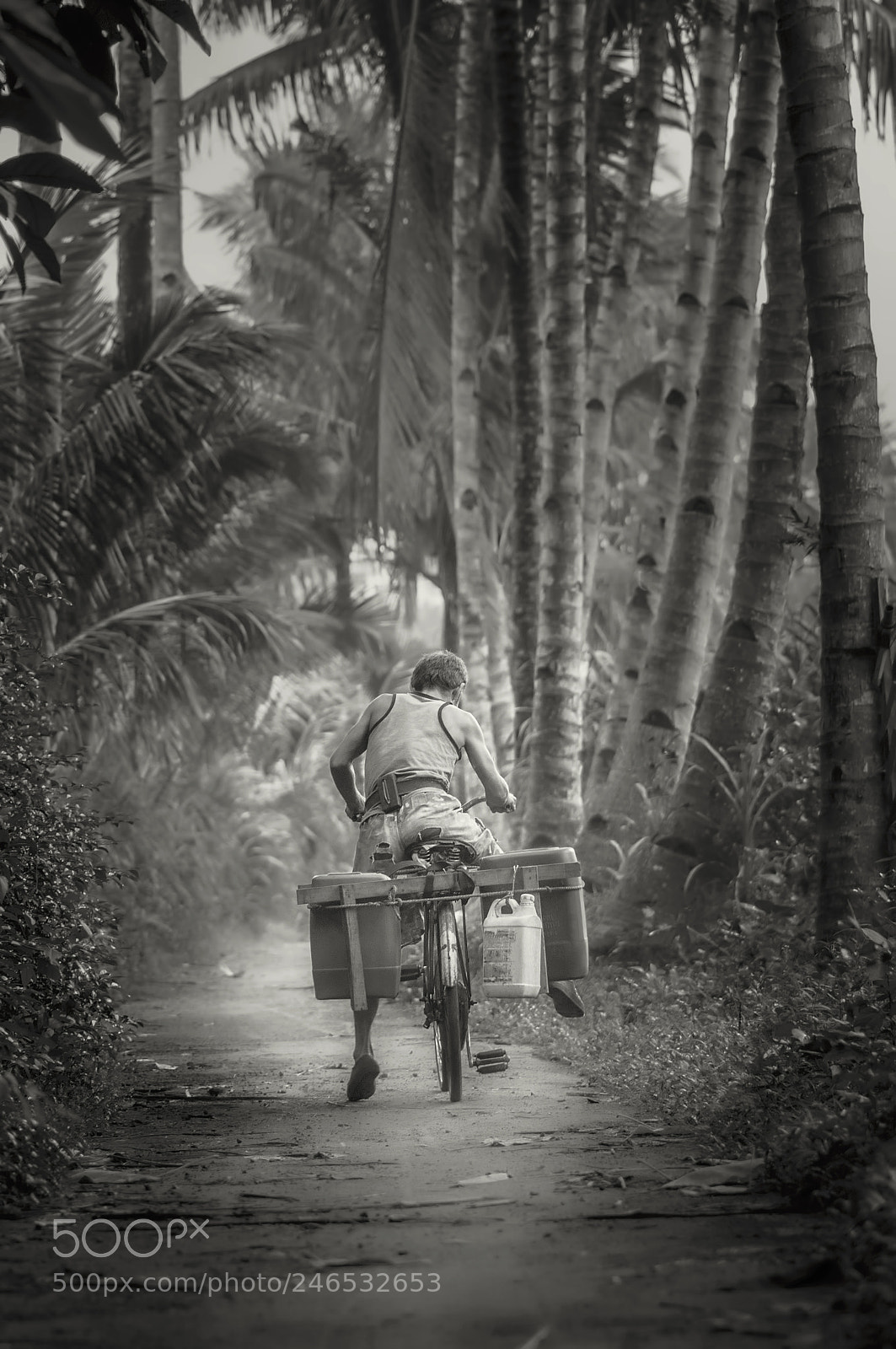 Nikon D90 sample photo. Ready,steady......go photography