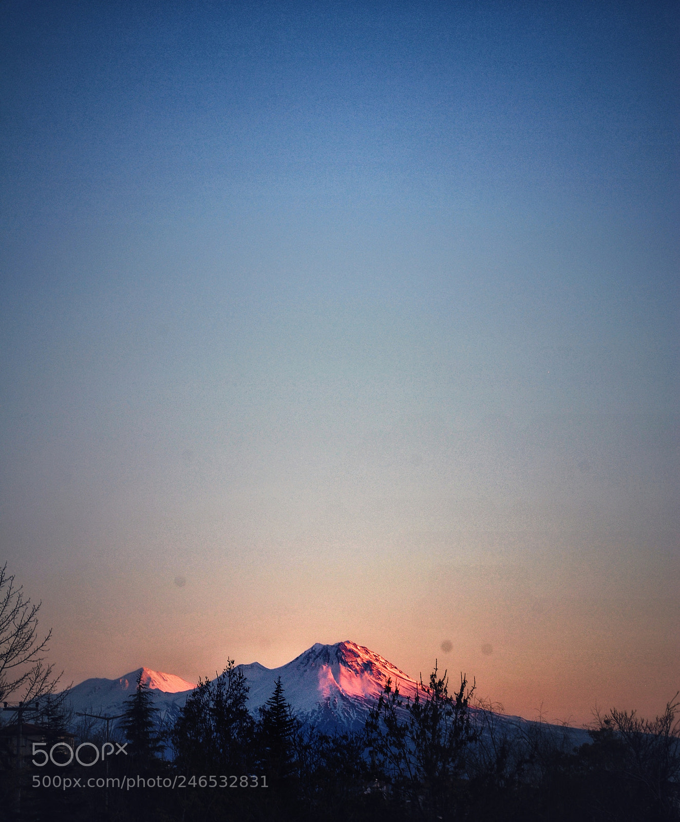 Nikon D3000 sample photo. Untitled photography