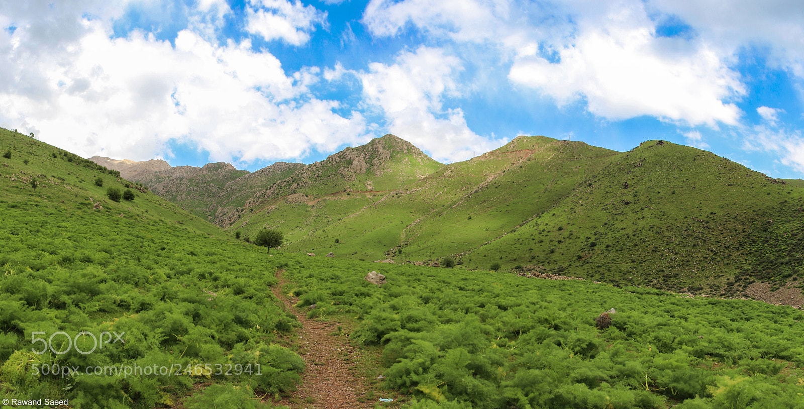 Canon EOS 700D (EOS Rebel T5i / EOS Kiss X7i) sample photo. Nature of awesar,hawraman photography