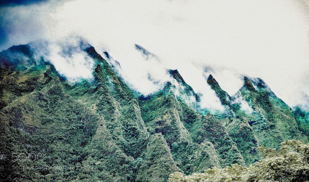 Fujifilm X-T1 sample photo. Foggy hills hawaii photography