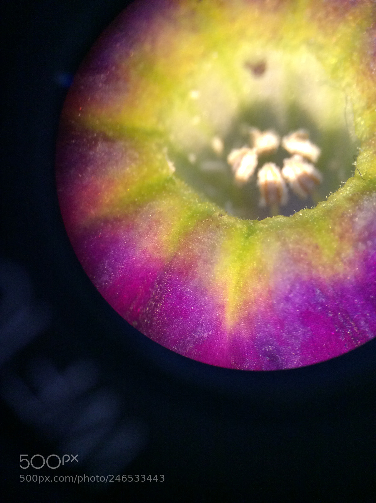 Apple iPad Air sample photo. Inside and outside a photography