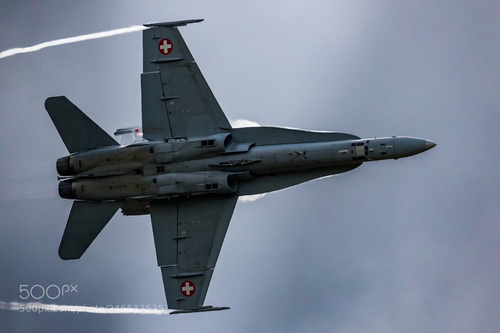 Canon EOS 7D Mark II sample photo. Hornet photography